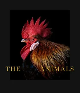Portada de The animals