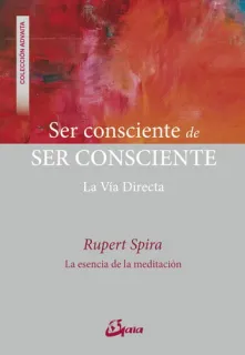 Portada de Ser consciente de ser consciente: la vía directa