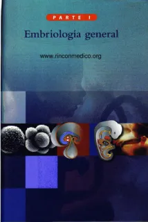 Portada de Langman. Embriología médica