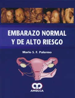 Portada de Embarazo normal y de alto riesgo