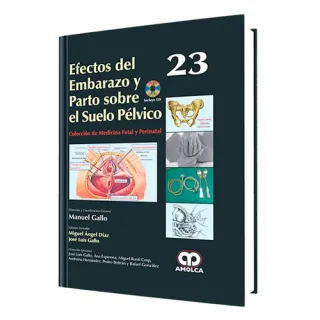 Portada de Efectos del embarazo y parto sobre el suelo pélvico