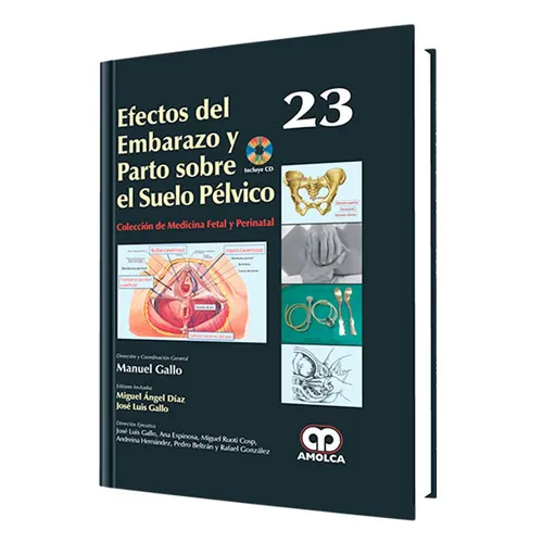 Portada de Efectos del embarazo y parto sobre el suelo pélvico